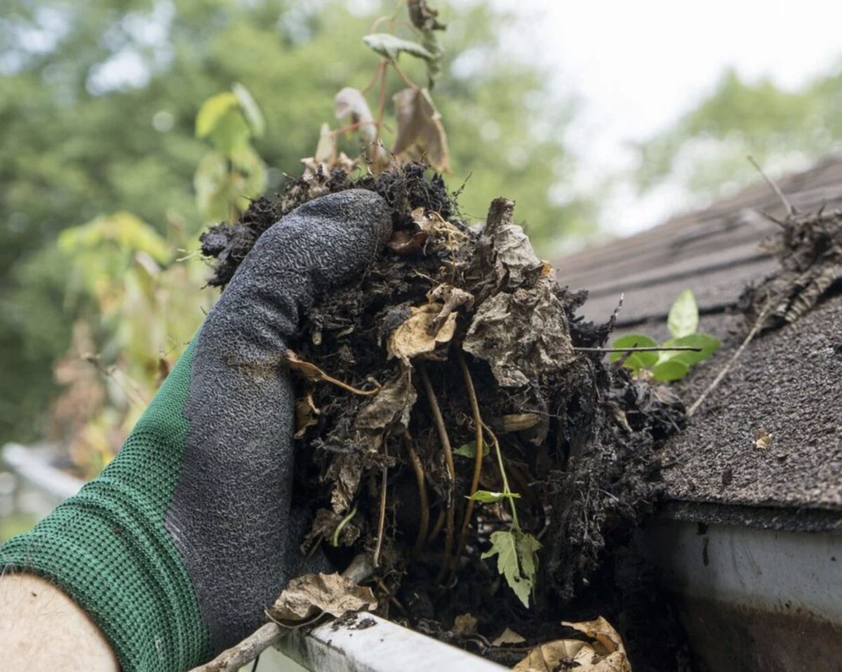 Home gutters and roofline