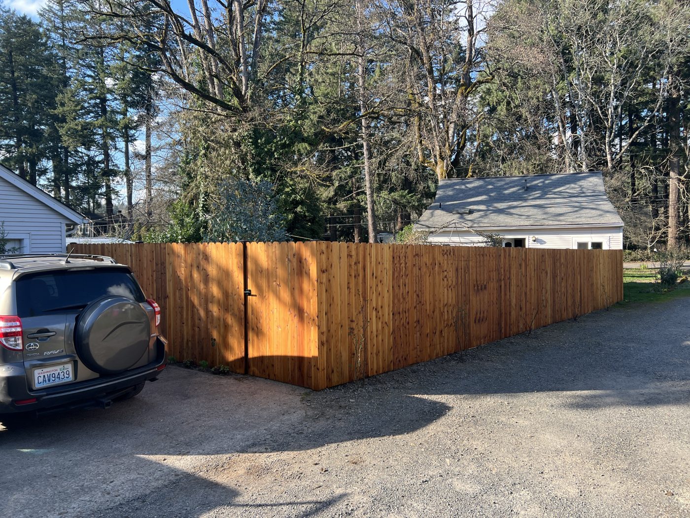 Cedar privacy fence
