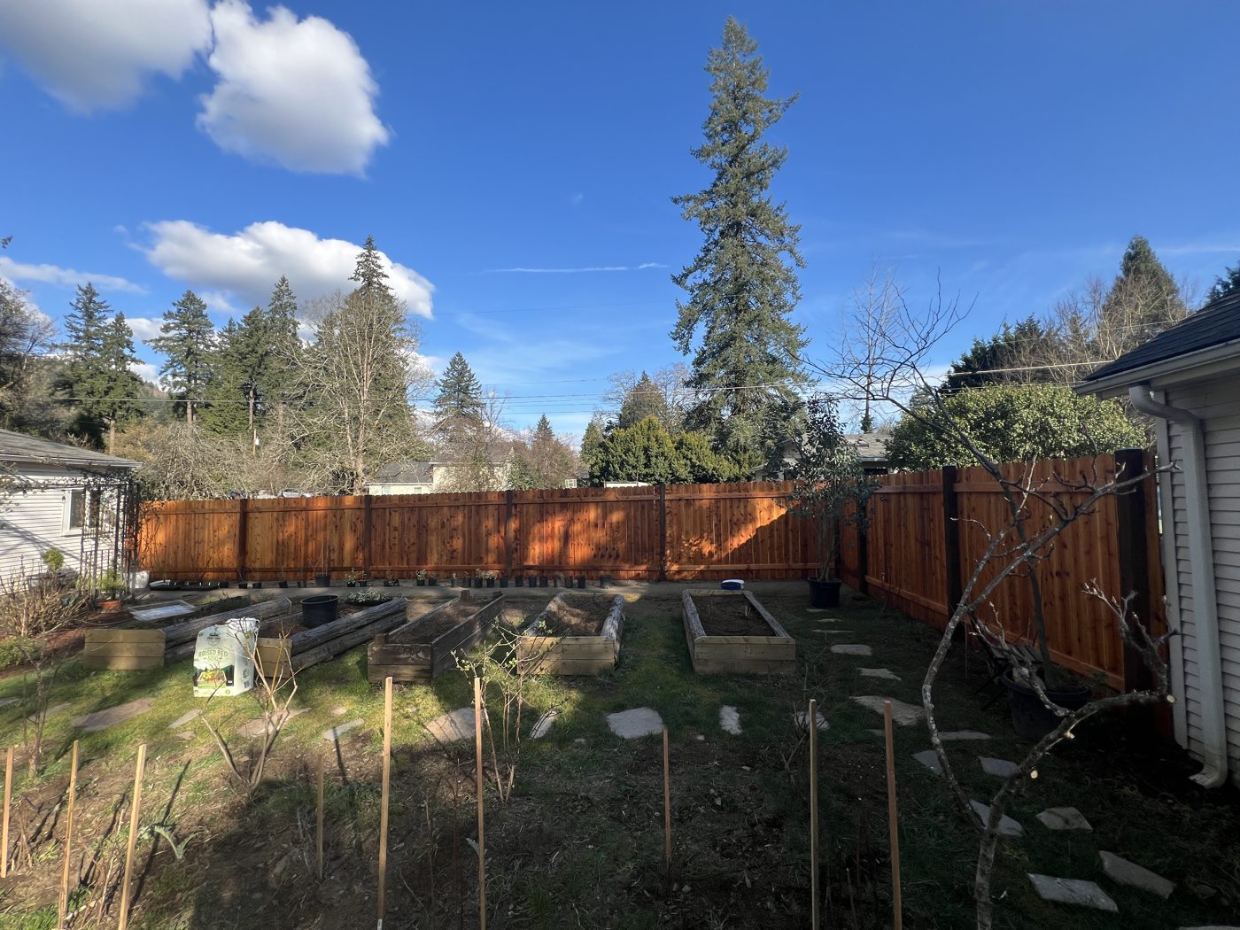 Backyard fence with garden beds